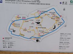 -白洋淀景区