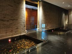 -晶采轩(虹桥路店)