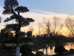 -九科绿洲