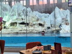 -帝企鹅自助餐厅•儿童岛•真企鹅(长隆企鹅酒店)