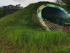 -福田红树林生态公园