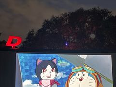 -枫花园汽车电影院(朝阳公园店)