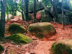 -火炉山森林公园