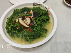 -瑞记湛江鸡饭店·粤西第一鸡(粤垦店)