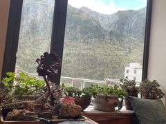 -四姑娘山阿巴郎·藏式花园餐厅