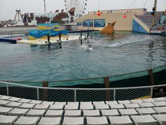 -秦皇岛乐岛海洋王国