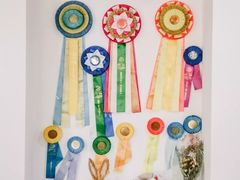 -Husky Go! 哈士奇体验馆·宠物咖啡厅狗咖