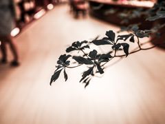 -二酉书店TOYOU BOOKS