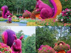 -广州市白云山风景名胜区