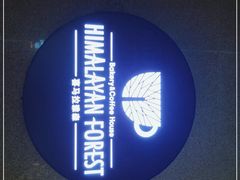 -喜马拉雅森HIMALAYAN FOREST
