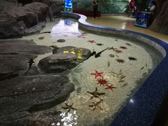 -福州罗源湾海洋世界旅游区