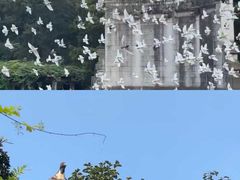 -音乐台