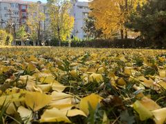 -元大都城垣遗址公园