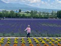 -富田农场