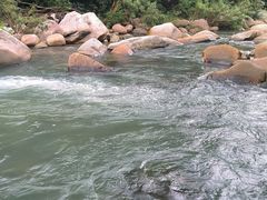 -海南热带雨林国家公园吊罗山景区