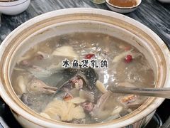 -鸽鸟轩(石岐店)