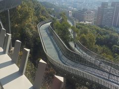 -福道