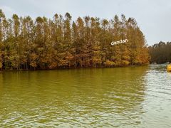 -上海海湾国家森林公园