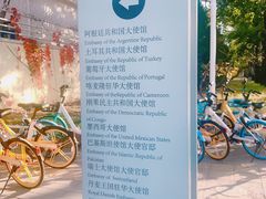 -三里屯东五街银杏大道