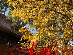 -宝通禅寺