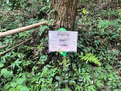 -黄公望隐居地