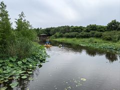 -同里国家湿地公园
