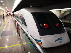 -龙阳路磁悬浮列车总站-停车场