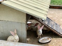 -嘉北郊野公园