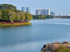 -顺峰山公园
