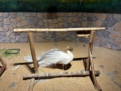 -绿色星球动物主题公园