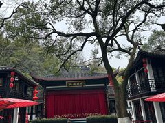 -杭州黄龙洞