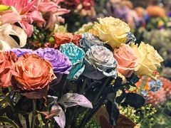 -瑞虹新天地月亮湾
