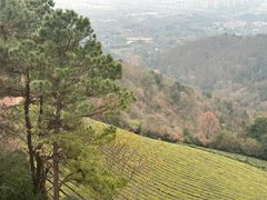 -敬亭山风景名胜区