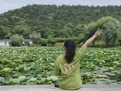 -龙寺生态园