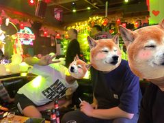 -喜鹊音乐酒馆(西街店)