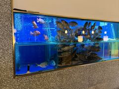 -顺峰顺水顺德菜(第一百货店)