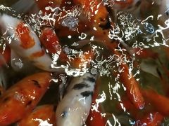 -弘医堂中医院
