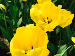 -长春公园(普阳街道)