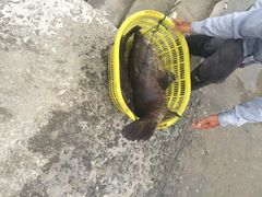 娟姐海鲜大排档-绢姐海鲜大排档