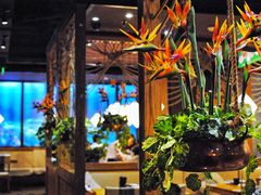 -云海肴·汽锅鸡·云南菜(天津国金汇店)