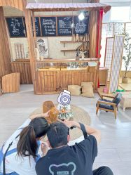 -BabyA 专业婴童摄影(古北时尚广场店)