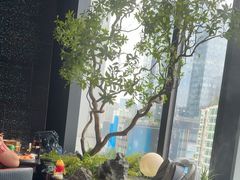 -雍容荟帝王蟹活龙虾展台自助(IFS黑金店)