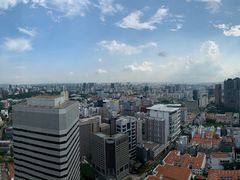 -新加坡瑞士史丹福酒店