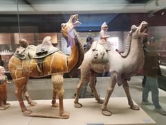 -西安大唐西市博物馆