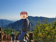 -大岭沟猕猴桃谷风景区
