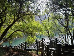 -白马涧龙池景区