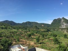 从古至今这些都是免费的-钟山水墨田园