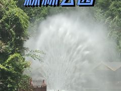 -西双版纳原始森林公园