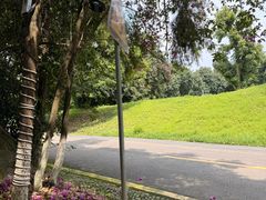 -张坝桂圆林公园