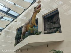 -安徽省地质博物馆